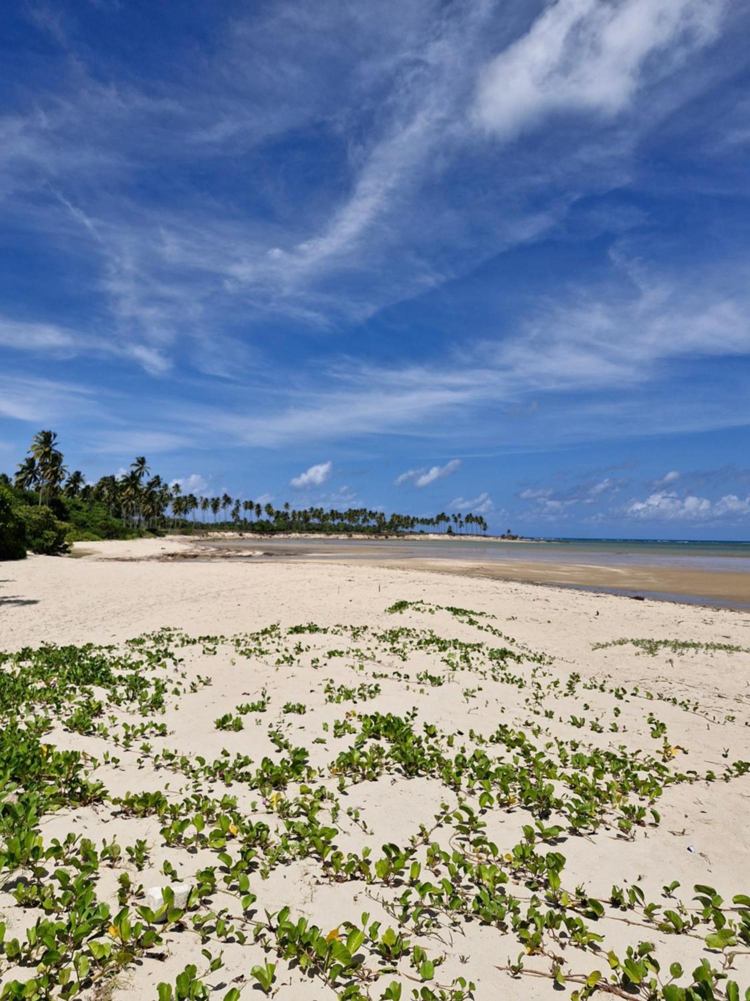 MSflats-moderno, aconchegante, wifi 5g, praia mansa e quente Paripueira Exterior foto