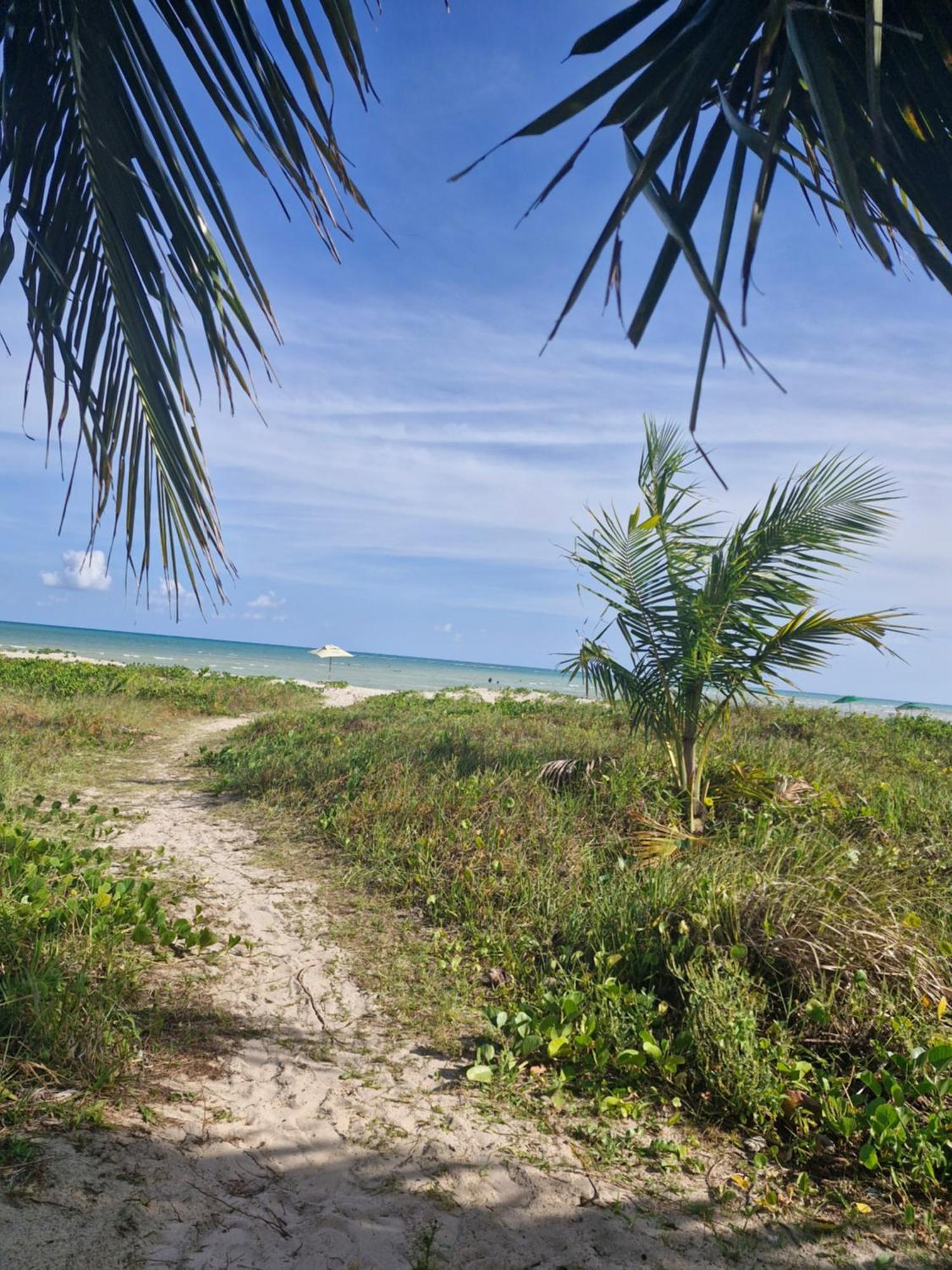 MSflats-moderno, aconchegante, wifi 5g, praia mansa e quente Paripueira Exterior foto